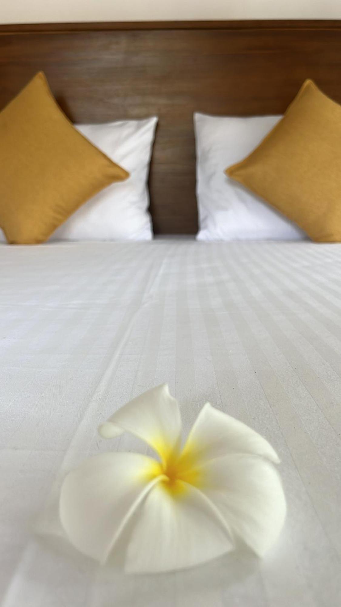 Beach Club Apartments Индурува Экстерьер фото